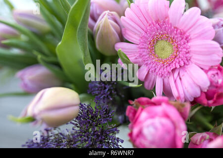 Bouquet di tulipani e gerbere Foto Stock