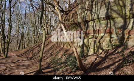 Il percorso si snoda attraverso simili scheletrico marrone scuro di alberi decidui delimitata dalle alte affioramento di arenaria che fa parte del sentiero di pietra arenaria Foto Stock