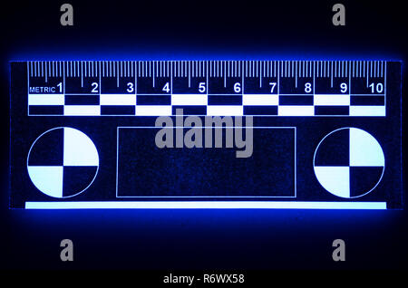 Photomacrographic scala forense accesa sotto luce UV e bagliori, genera fluorescenza indietro luce visibile utilizzato per la scena del crimine e misurazione delle impronte digitali Foto Stock
