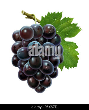 Grappolo di uva e di gocce d'acqua, illustrazione, la pittura digitale Foto Stock