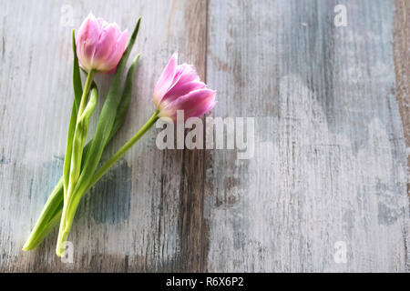 Shabby Chic decorazione - rosa tulipani nel libro vintage Foto stock - Alamy