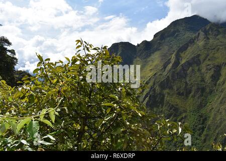 Andina paesaggi di montagna lungo il Salkantay trek a Machu Picchu, Perù. Foto Stock