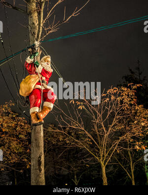 Babbo Natale modello sale su un albero cercando la sua renna Foto Stock