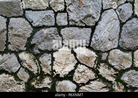 Mossy muro di pietra texture vicino fino al parco Foto Stock