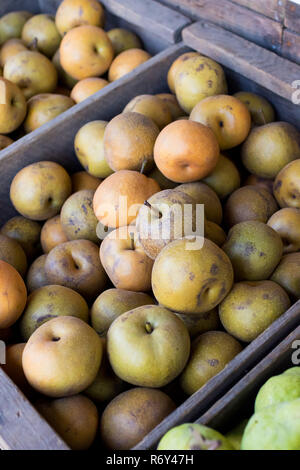 Le pere a Detering Farm in Eugene Oregon Foto Stock