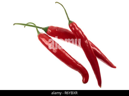 Peperoncino rosso pepe di Caienna Foto Stock