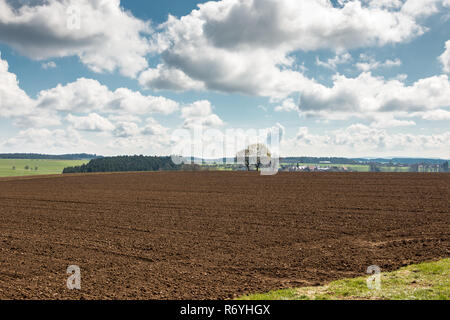 Grandi campi di colore marrone del terreno fertile e verde bosco in background Foto Stock