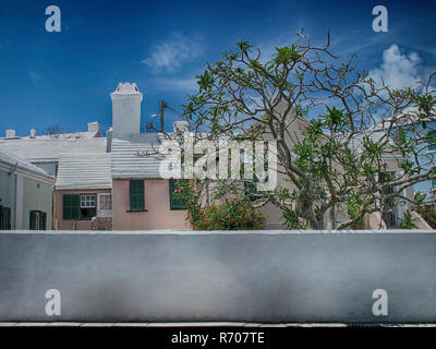 Street a isole Bermuda. Case e grande albero Foto Stock