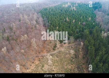 Antenna fuco volo con copter sulla foresta disboscate in Austria nel mese di marzo Foto Stock