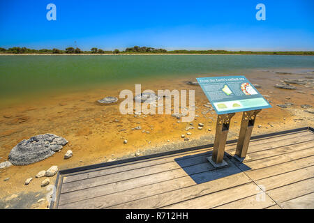 Cervantes, Australia - Dic 23, 2017: dichiarazioni interpretative informazioni di segno di Stromatolites al Lago Thetis, una soluzione salina lago costiere in Cervantes, Western Australia. Soleggiato con cielo blu. Foto Stock