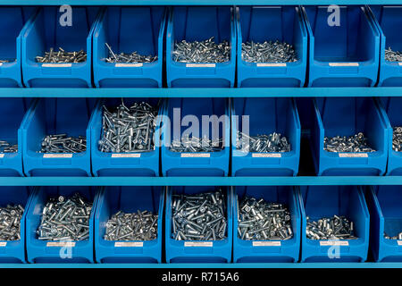 Viti cilindro, viti ordinati in un ripiano in un workshop, Baviera, Germania Foto Stock