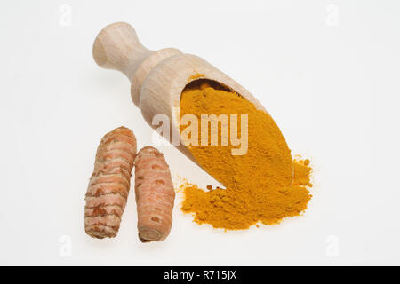 Curcuma radice (Curcuma domestica) e massa curcuma in polvere Foto Stock