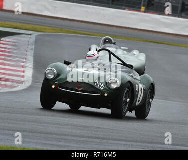 Wolfgang Friedrichs, Aston Martin DB3S, HSK 110, RAC Woodcote Trophy, Silverstone Classic 2015, Chris McEvoy, il circuito da corsa, cjm-fotografia, classi Foto Stock