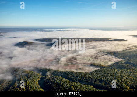Vista aerea, high fog al di sopra dei boschi, nei pressi di Dassel, Bassa Sassonia, Germania Foto Stock