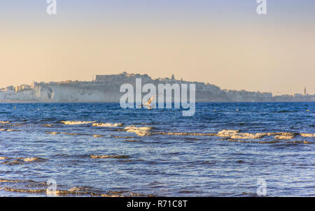 Volo libero di gabbiano sul mare: Sullo sfondo il centro storico di Vieste arroccato sul promontorio. -(Puglia) ITALIA. Foto Stock