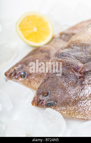 Crudo fresco passera pianuzza Pesce su sfondo di ghiaccio Foto Stock