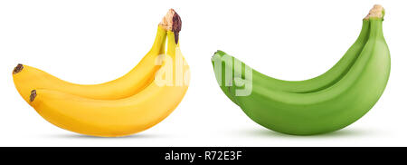 Due giallo e banane verdi isolati su sfondo bianco. Percorso di clipping. Massima profondità di campo. Foto Stock