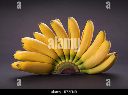 Il ramo baby banane su sfondo nero. Foto Stock