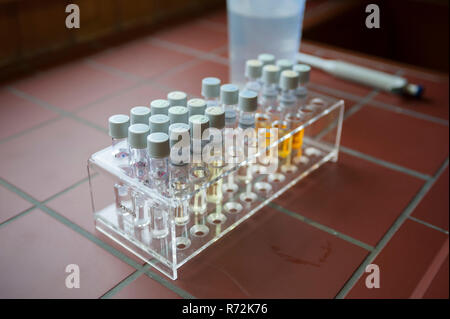 Campione di acqua, impianti di depurazione delle acque, schwaebisch hall, hohenlohe regione, Baden-Wuerttemberg, Heilbronn-Franconia, Germania Foto Stock