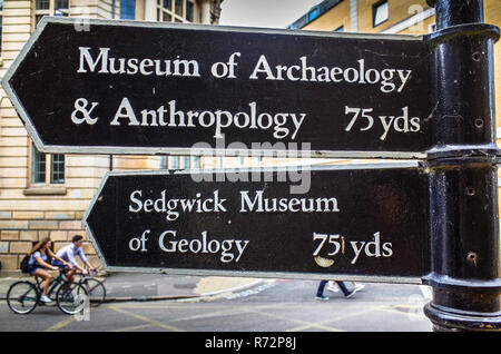 Musei di Cambridge - Indicazioni per il Museo di Archeologia e Antropologia e Sedgwick Museum di geologia nel centro di Cambridge Regno Unito Foto Stock