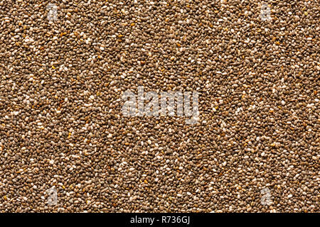 Chia semi telaio completa immagine di sfondo, vista direttamente dal di sopra Foto Stock
