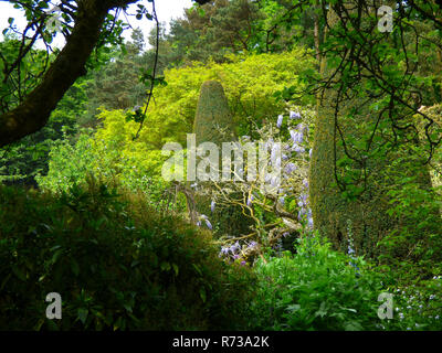 Bellissimi giardini in primavera a Hidcote Manor Gardens, Hidcote, Gloucestershire, England, Regno Unito Foto Stock