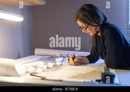 Donna che lavorano in ufficio in casa Foto Stock
