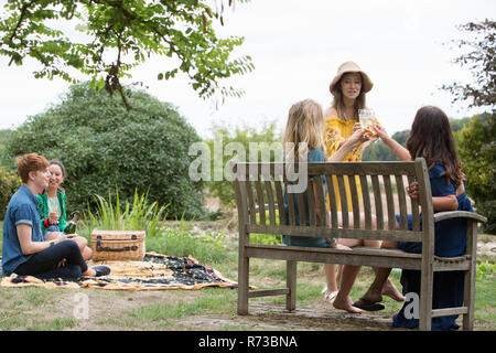 Gli amici la tostatura in parte picnic nel parco Foto Stock