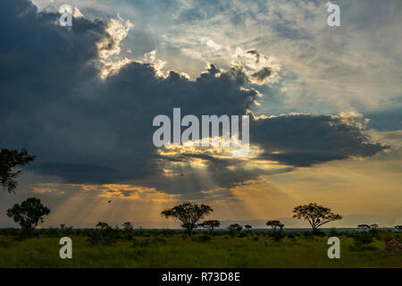 Crepuscolo presso la Queen Elizabeth National Park, Uganda Foto Stock