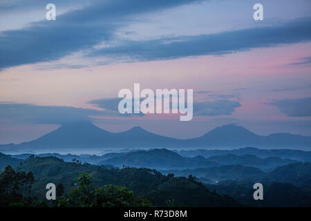 Virunga monti con i suoi vulcani, Uganda Foto Stock