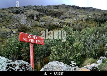 Area selvaggia di segno - Modo di AHUAC LAGUNA. Dipartimento di Ancash.PERÙ Foto Stock