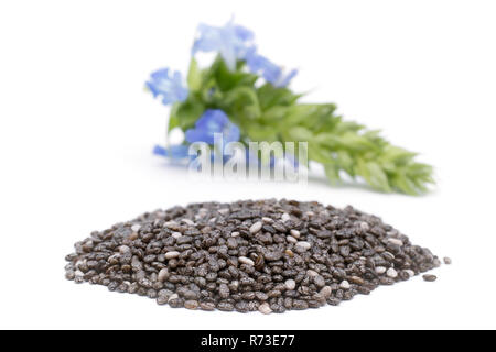 Chia (Salvia hispanica) pila di semi con fiori su sfondo bianco Foto Stock