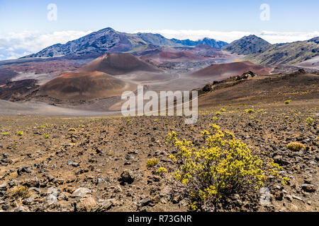 Una vista guardando in giù nel Cratere Haleakala, Haleakal National Park, Maui, Hawaii, Stati Uniti d'America. Foto Stock