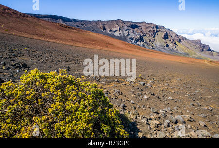 Una vista guardando in giù nel Cratere Haleakala, Haleakal National Park, Maui, Hawaii, Stati Uniti d'America. Foto Stock