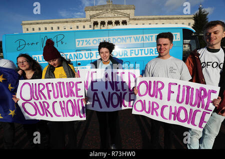 I membri del nostro futuro, la nostra scelta NI tenere un voto popolare protestare fuori gli edifici del Parlamento europeo, Stormont, Belfast per mostrare il loro disappunto per non essere ascoltato nel dibattito Brexit. Foto Stock