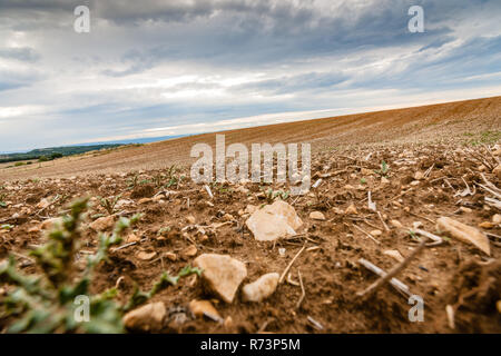 Campi arati con colline incandescente nella valle del Rodano in Francia Foto Stock