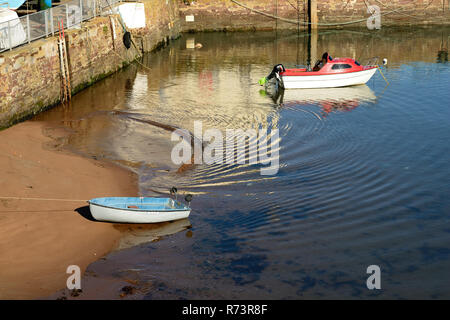 Una piccola barca ormeggiata in porto a Paignton. Foto Stock