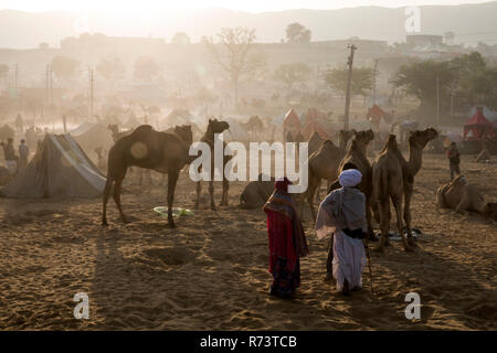 Sunrise vista di cammelli e i pastori a Pushkar fair, Rajasthan, India Foto Stock