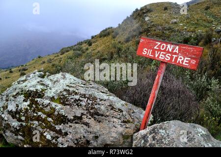 Area selvaggia di segno - Modo di AHUAC LAGUNA. Dipartimento di Ancash.PERÙ Foto Stock