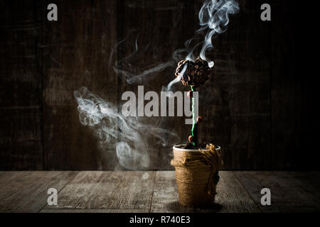 I chicchi di caffè fiore nel fumo di vintage sfondo di legno Foto Stock