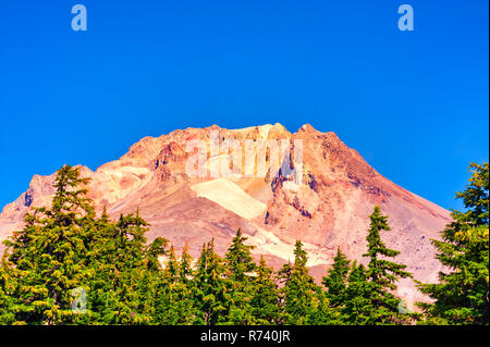 Mt. Il cofano mostra la sua struttura durante la tarda estate la treeline in primo piano. Solo le patch di ghiaccio e neve rimangono sui ghiacciai. Foto Stock