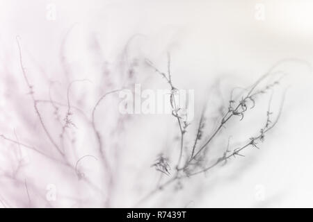 Concetto di inverno. Pala di blu per la rimozione della neve. Testo inverno e i fiocchi di neve. Vista superiore, close-up Foto Stock