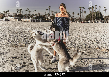 Giovane donna guardando pet playfighting cani sulla spiaggia Foto Stock