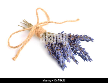 Piccolo bouquet di una lavanda essiccata. Isolato. Foto Stock