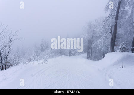 Alberi coperti di neve nella fitta nebbia. Foreste di montagna in inverno. In lontananza la silhouette di un fondista emerge. Foto Stock