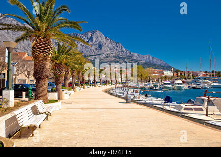 Baska Voda palm vista fronte mare Foto Stock