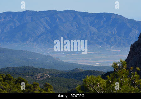 Aleppo e foreste di pini in Sierra Espuña massiccio, con la Sierra de Carrascoy in background, Murcia (Spagna sud-orientale) Foto Stock