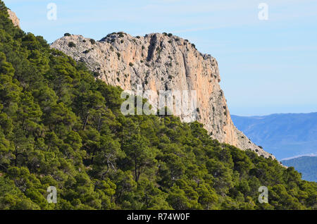 Aleppo e foreste di pini in Sierra Espuña massiccio, con la Sierra de Carrascoy in background, Murcia (Spagna sud-orientale) Foto Stock