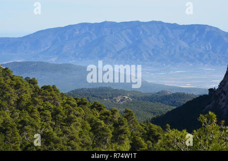 Aleppo e foreste di pini in Sierra Espuña massiccio, con la Sierra de Carrascoy in background, Murcia (Spagna sud-orientale) Foto Stock