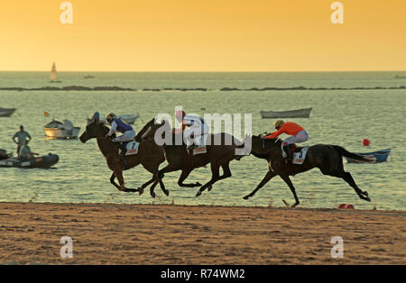 Traditionals corse di cavalli sulla spiaggia - dal 1845. Sanlucar de Barrameda. La provincia di Cadiz Cadice. Regione dell'Andalusia. Spagna. Europa Foto Stock